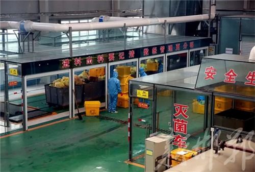 记者探访邯郸医疗废物处置工厂 他们是消灭新冠病毒的最后把关人