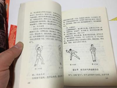 少林医疗气功精粹 井玉兰的智慧与实践