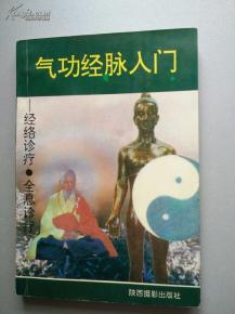 气功经络入门与诊疗实践 从传统到全息的探索
